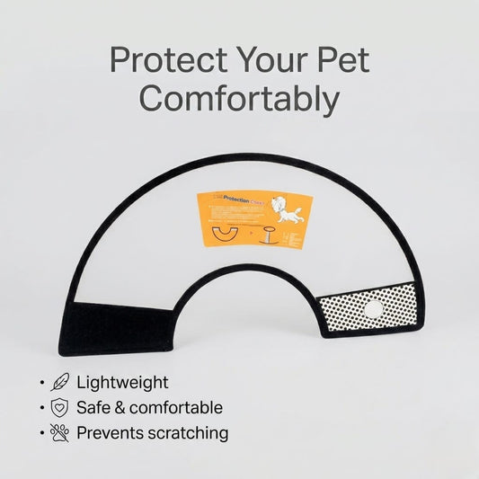 Cat and Kitten E Collar Benefits