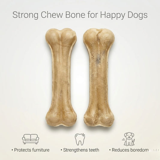 Dog Chewing Bone Benefits