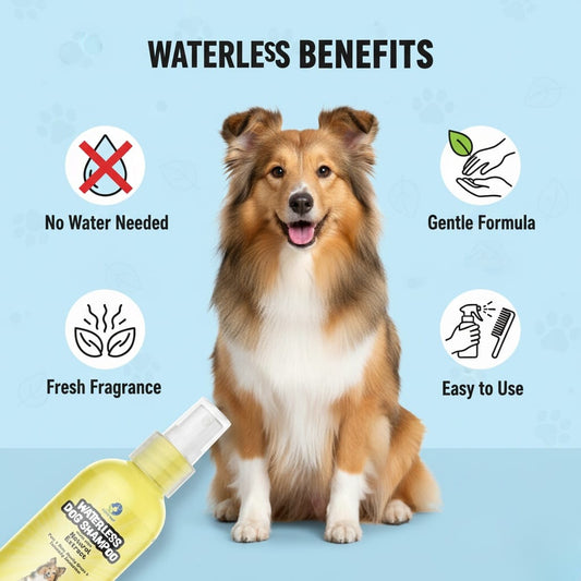 Dog with waterless dog shampoo bottle and benefits listed on a blue background