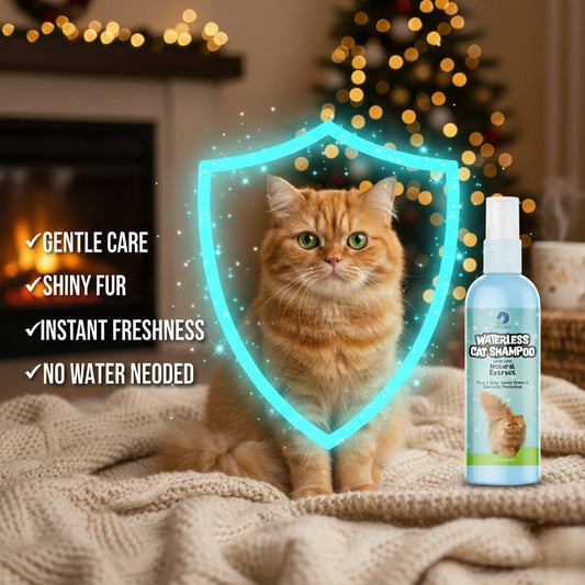Cat sitting on a blanket with a bottle of cat shampoo and text highlighting product benefits.