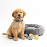Puppy