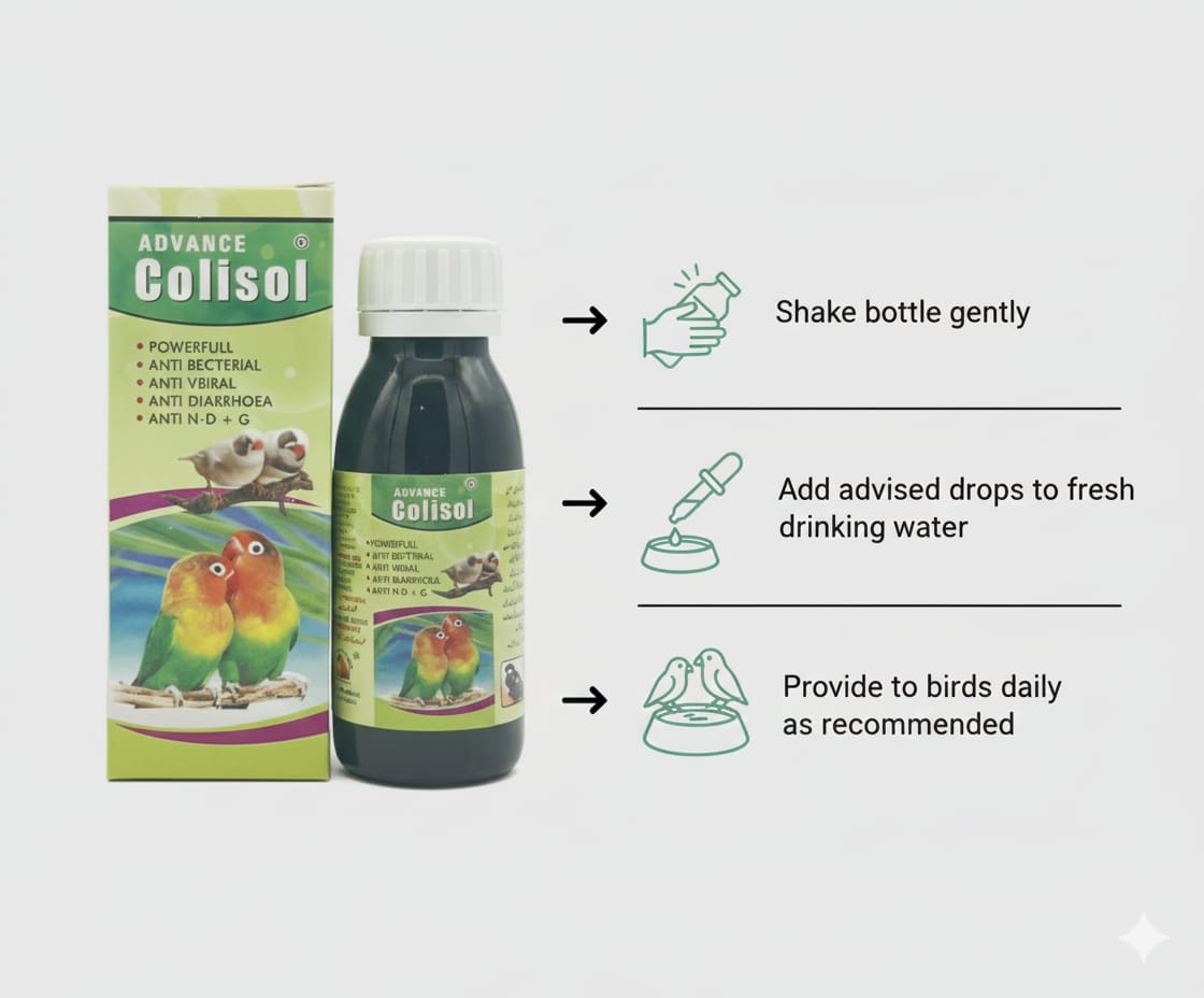 Advance Colisol Green – Multi-Purpose Bird Medicine for All Birds
