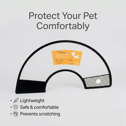 Cat and Kitten E Collar Benefits