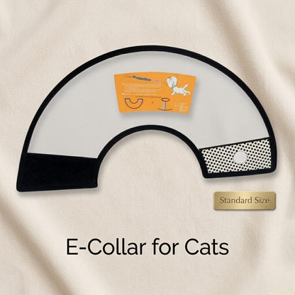 Adult Cat E-collar
