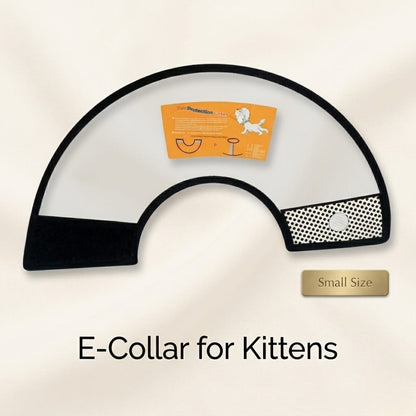 Kitten E Collar 