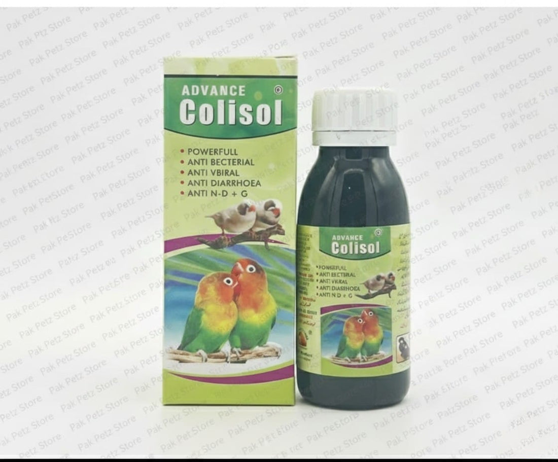 Advance Colisol Green – Multi - Purpose Bird Medicine for All Birds - Pak Petz StoreAdvance Colisol Green – Multi - Purpose Bird Medicine for All Birds