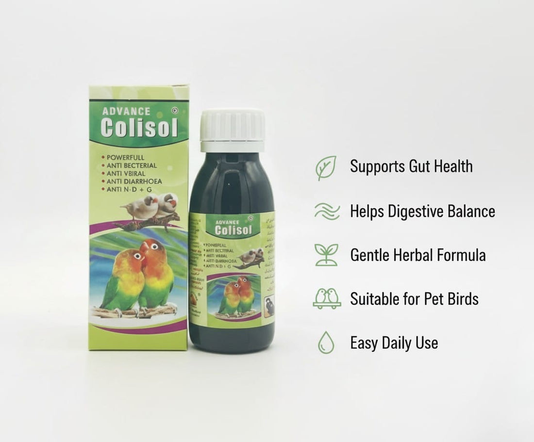 Advance Colisol Green – Multi - Purpose Bird Medicine for All Birds - Pak Petz StoreAdvance Colisol Green – Multi - Purpose Bird Medicine for All Birds