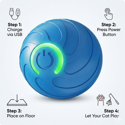 Cat Bouncing Ball – USB Rechargeable Interactive Toy