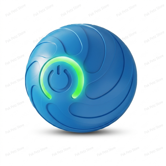 Cat Bouncing Ball – USB Rechargeable Interactive Toy