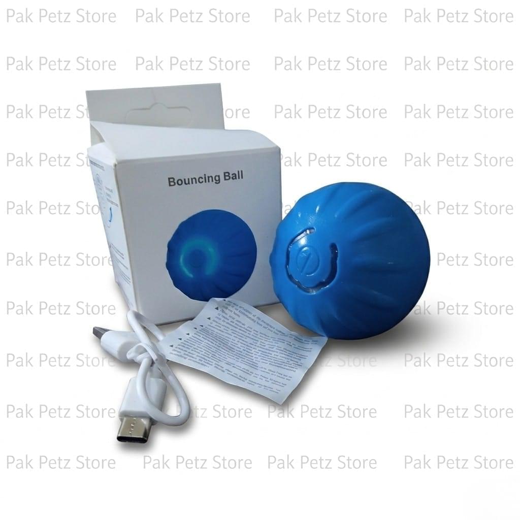 Cat Bouncing Ball – USB Rechargeable Interactive Toy