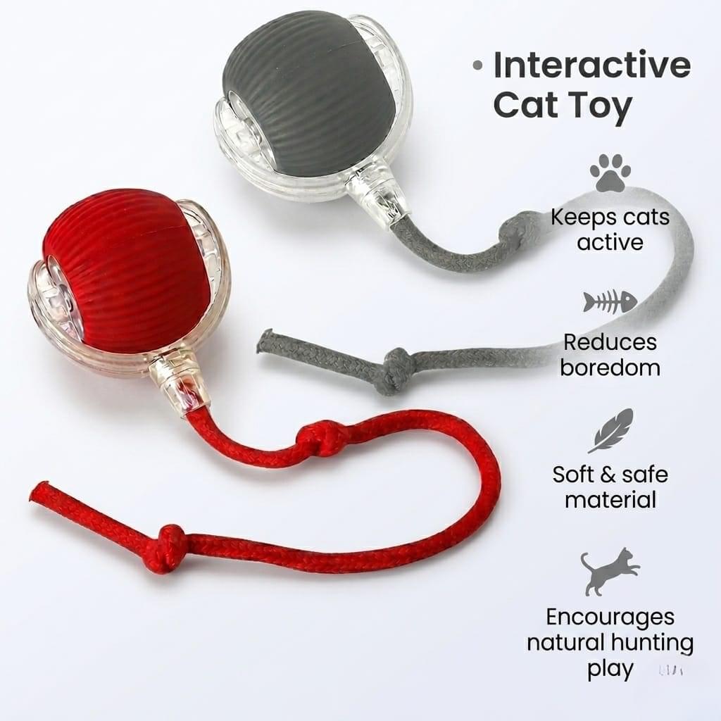 Long Tail Toy Ball For Pets Benefits